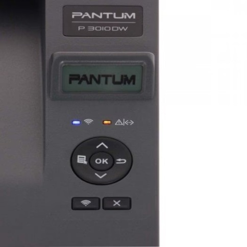 Купить с доставкой Принтер лазерный Pantum P3010DW, Белый