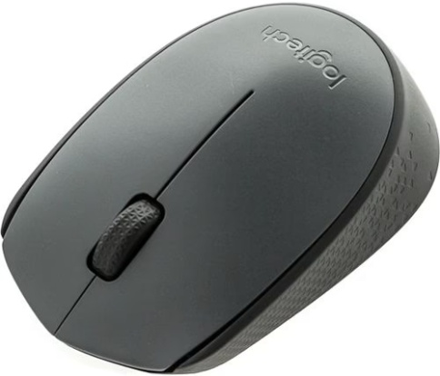 Купить с доставкой мышь Logitech M170, Black (910-004642)