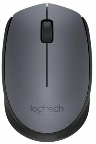 Купить мышь Logitech M170, Black (910-004642)